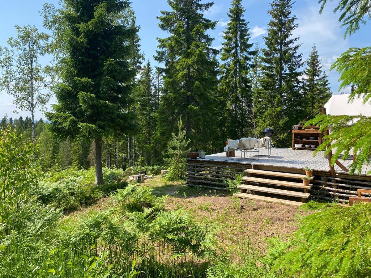 Glamping Tent With Amazing View In The Forest Турсбю Экстерьер фото